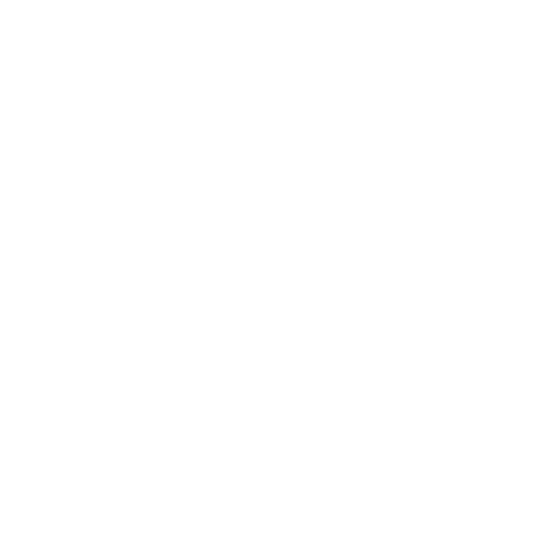 Brazivos